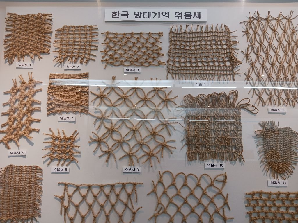 지연사 이미지