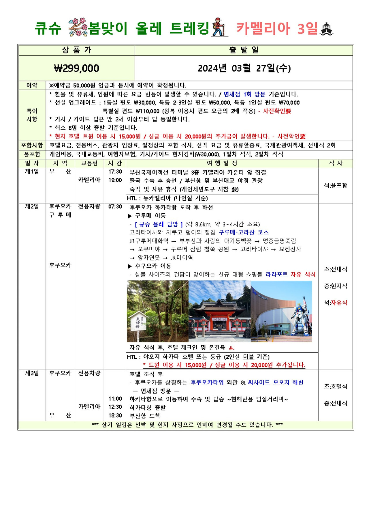 카멜리아 이미지