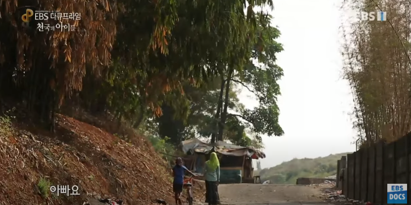 자극적 영상이 많아진 요즘, 안보면 후회하는 글 | 인스티즈