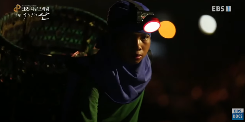 자극적 영상이 많아진 요즘, 안보면 후회하는 글 | 인스티즈