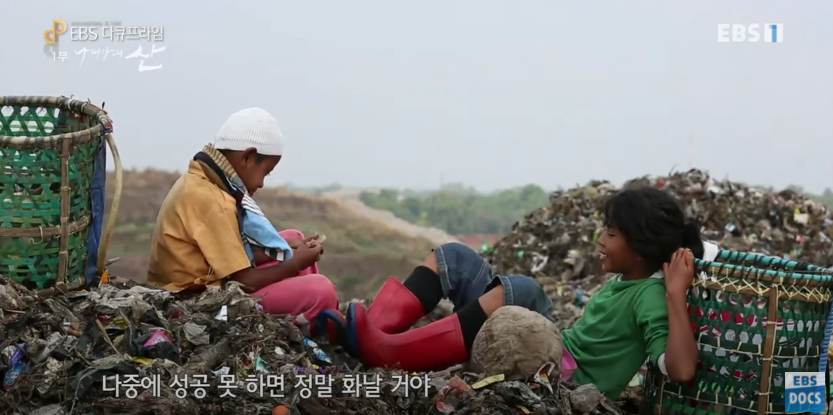 자극적 영상이 많아진 요즘, 안보면 후회하는 글 | 인스티즈