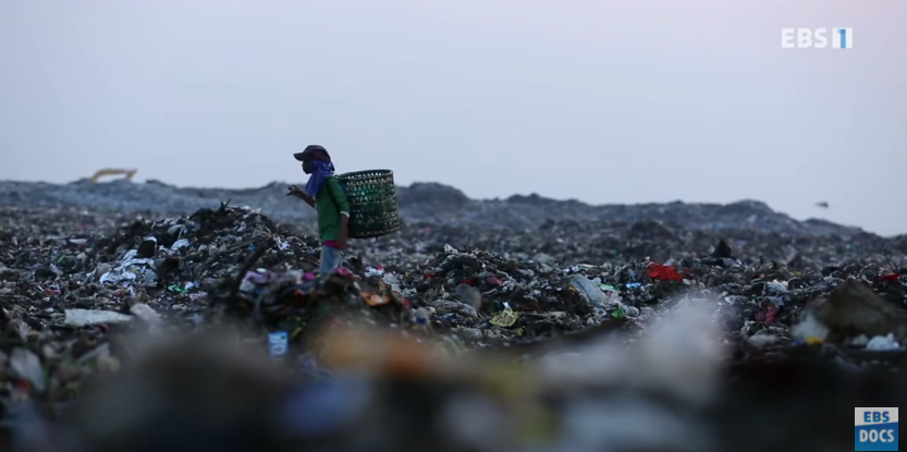 자극적 영상이 많아진 요즘, 안보면 후회하는 글 | 인스티즈
