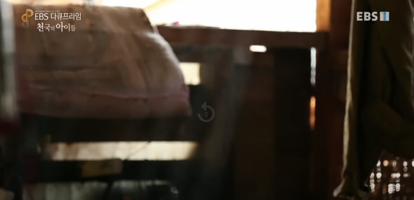 자극적 영상이 많아진 요즘, 안보면 후회하는 글 | 인스티즈