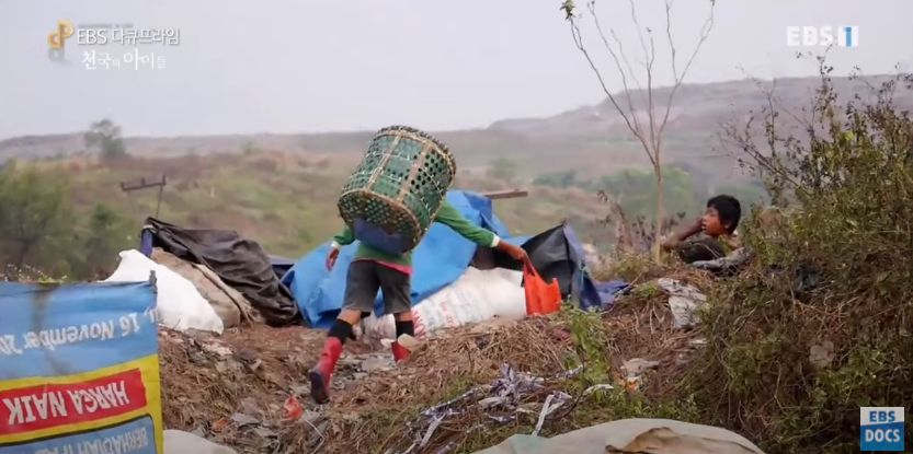 자극적 영상이 많아진 요즘, 안보면 후회하는 글 | 인스티즈
