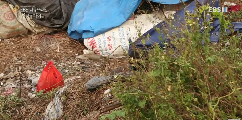 자극적 영상이 많아진 요즘, 안보면 후회하는 글 | 인스티즈