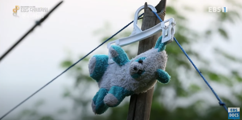 자극적 영상이 많아진 요즘, 안보면 후회하는 글 | 인스티즈