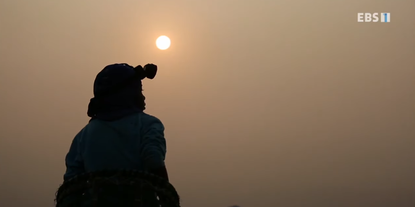 자극적 영상이 많아진 요즘, 안보면 후회하는 글 | 인스티즈