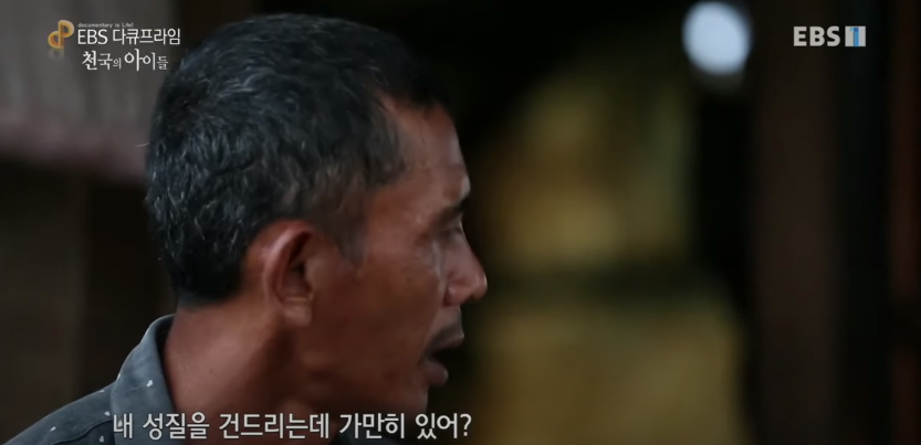 자극적 영상이 많아진 요즘, 안보면 후회하는 글 | 인스티즈