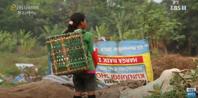 자극적 영상이 많아진 요즘, 안보면 후회하는 글 | 인스티즈