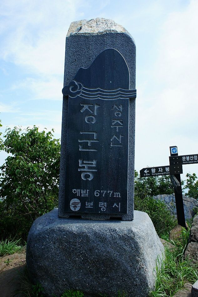 보령주 이미지