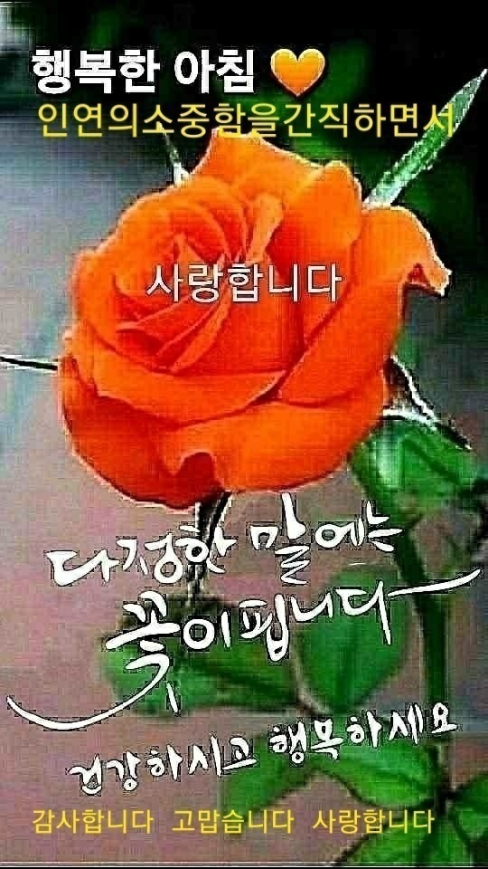 엄마주방 이미지