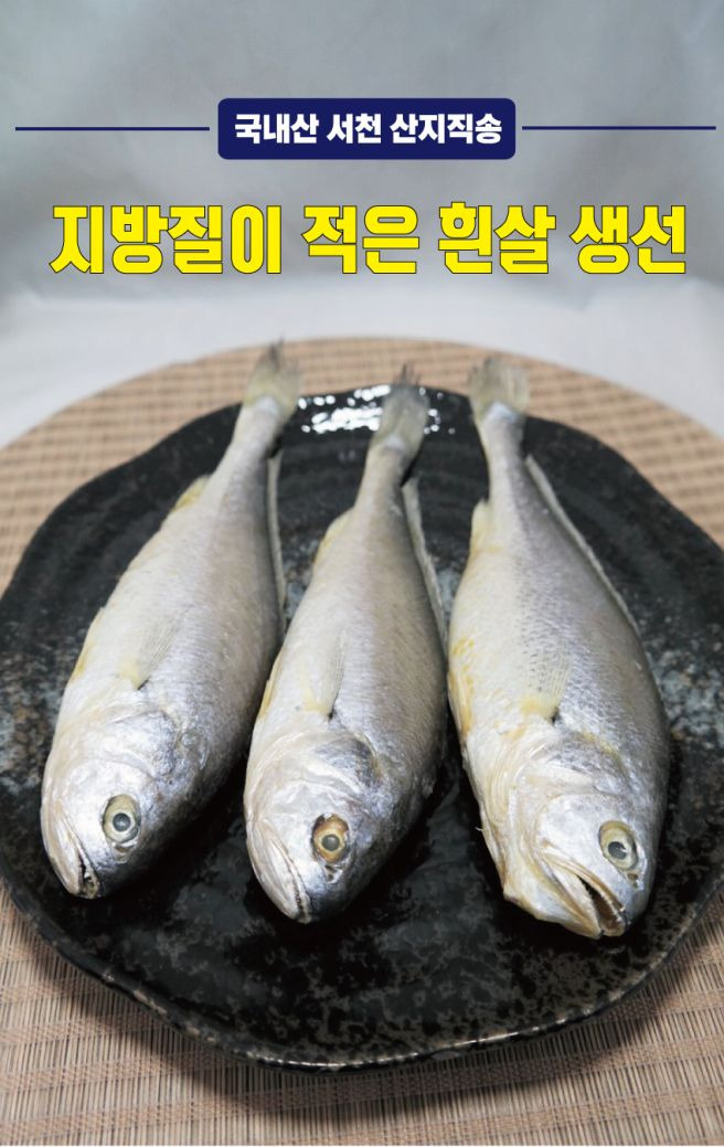 동인 이미지
