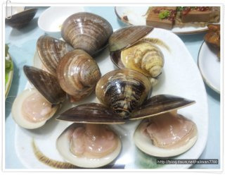 백합 이미지