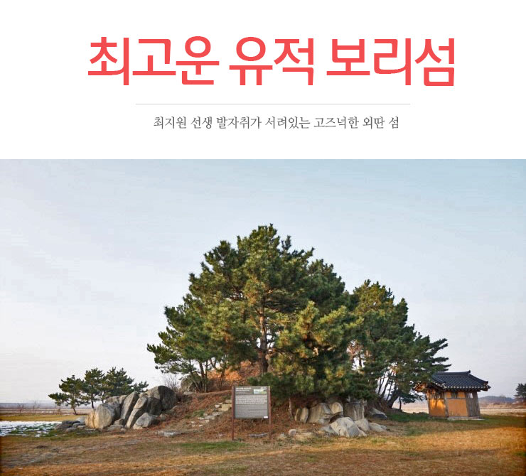 상하이최선생 이미지