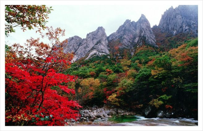 금강산 이미지