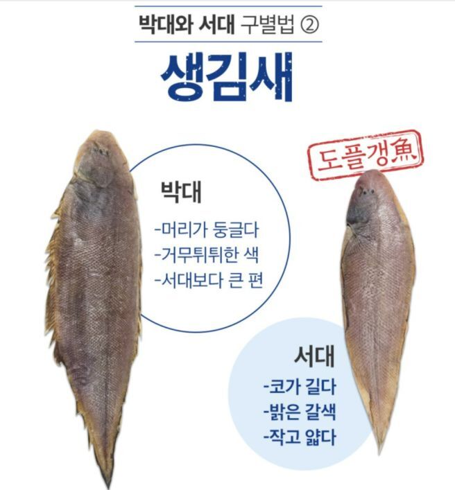 Daum 카페