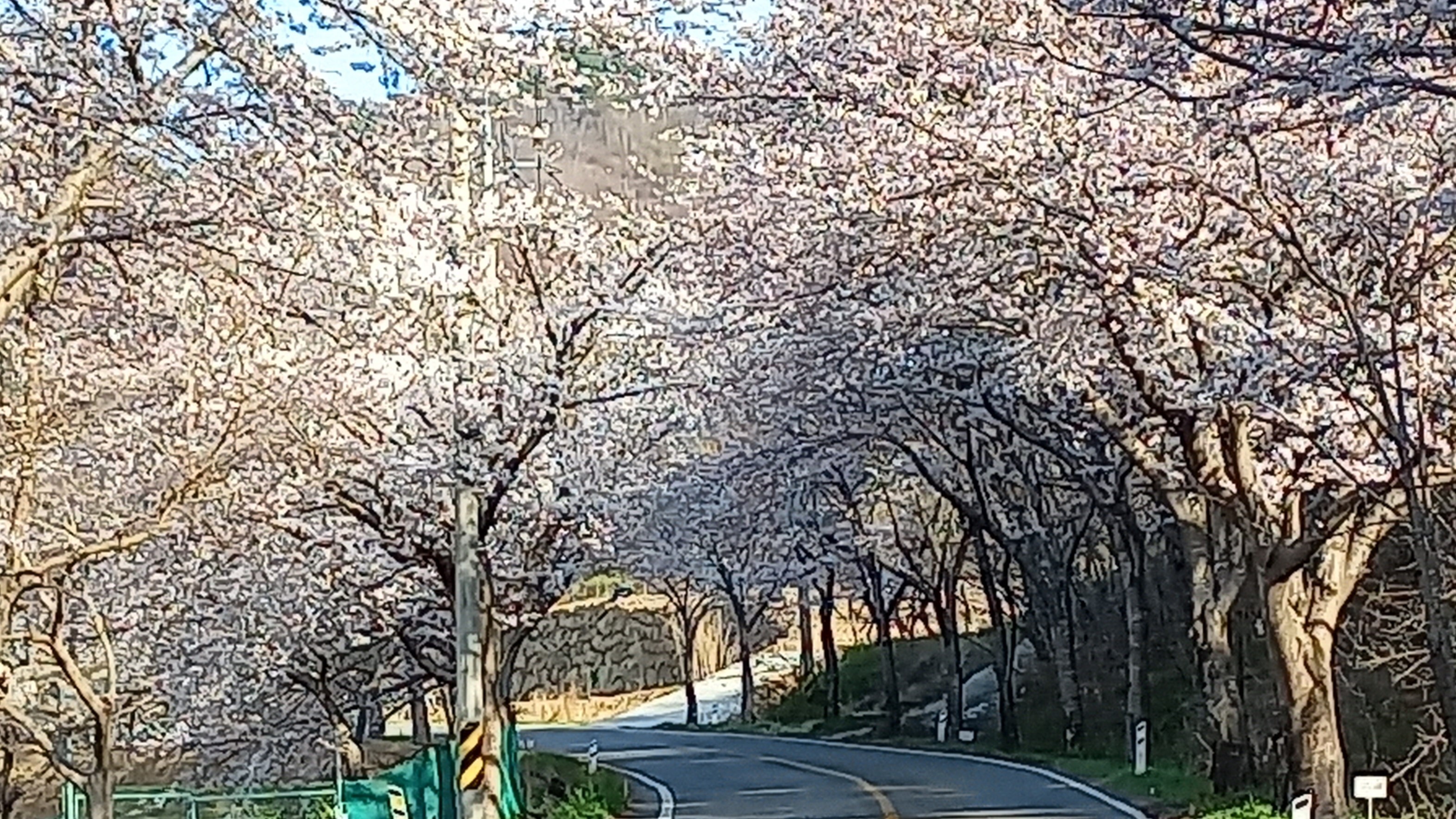 동천상사 이미지