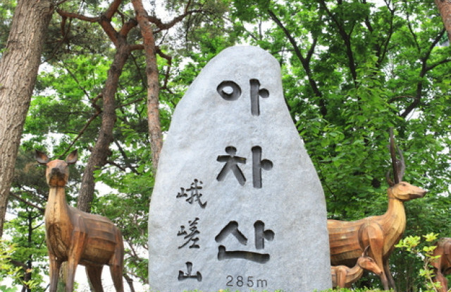 그리운상조 이미지