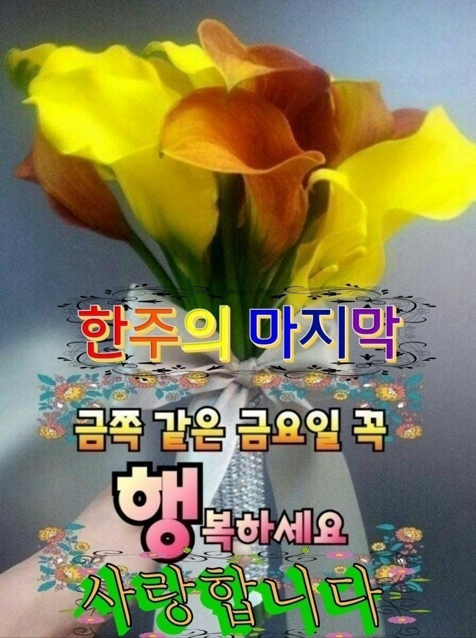 싱그로운 이미지