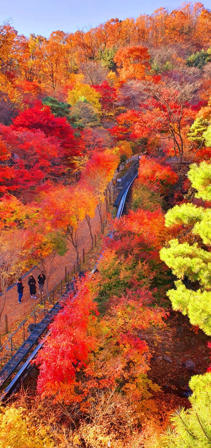 화담숲 - 축제 탐방 정보 - 호모 데우스 화담숲