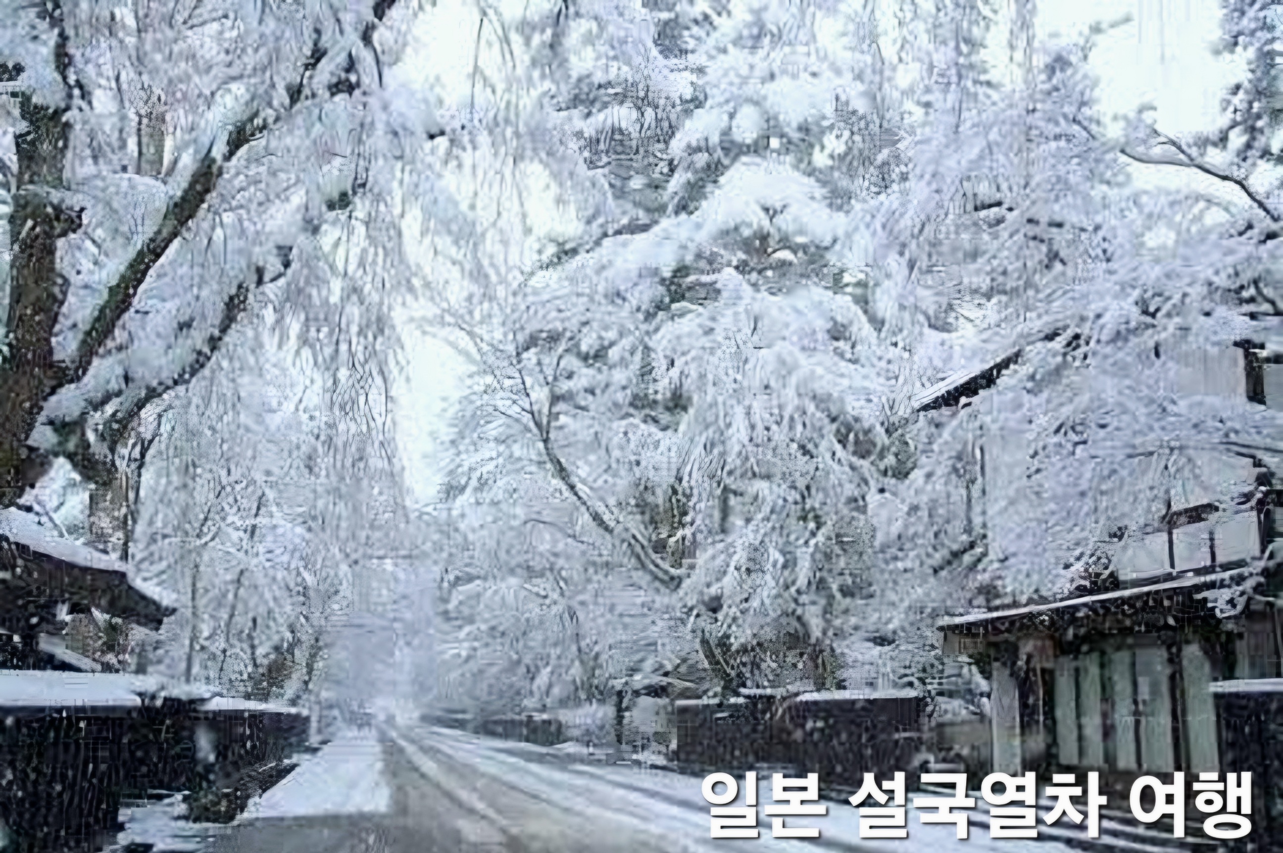 스노우몬스터 이미지