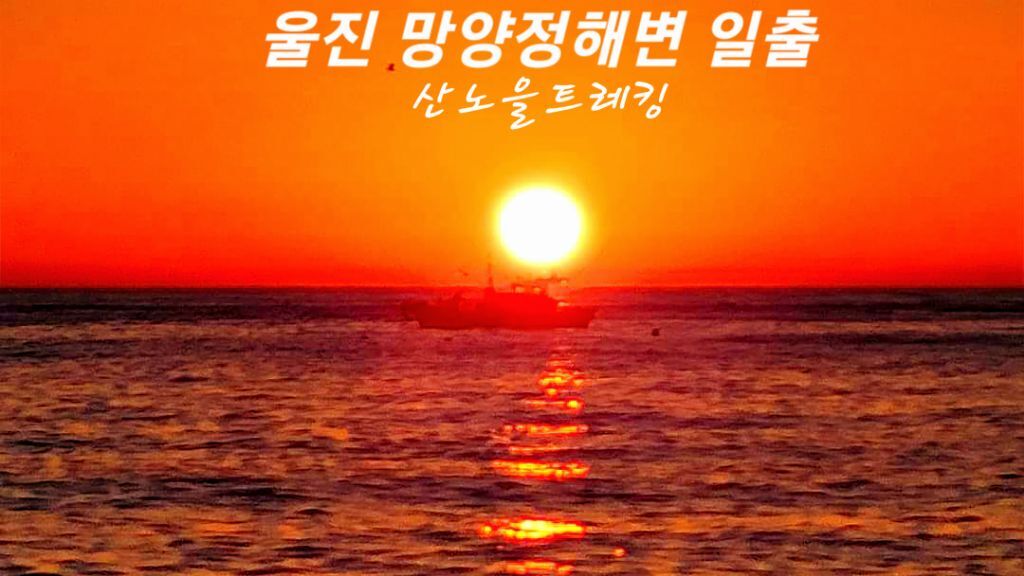 울진대게집일출 이미지