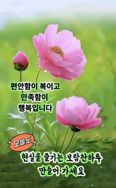 정(情) 이미지