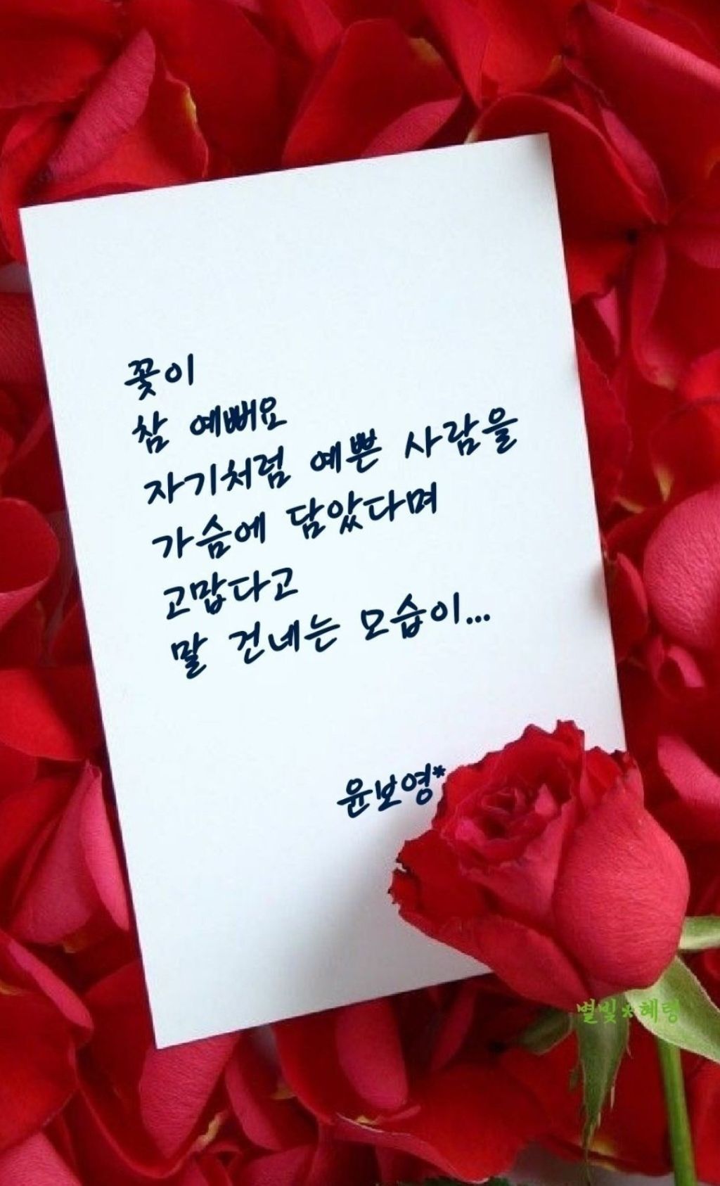 오늘, 꽃데이 이미지