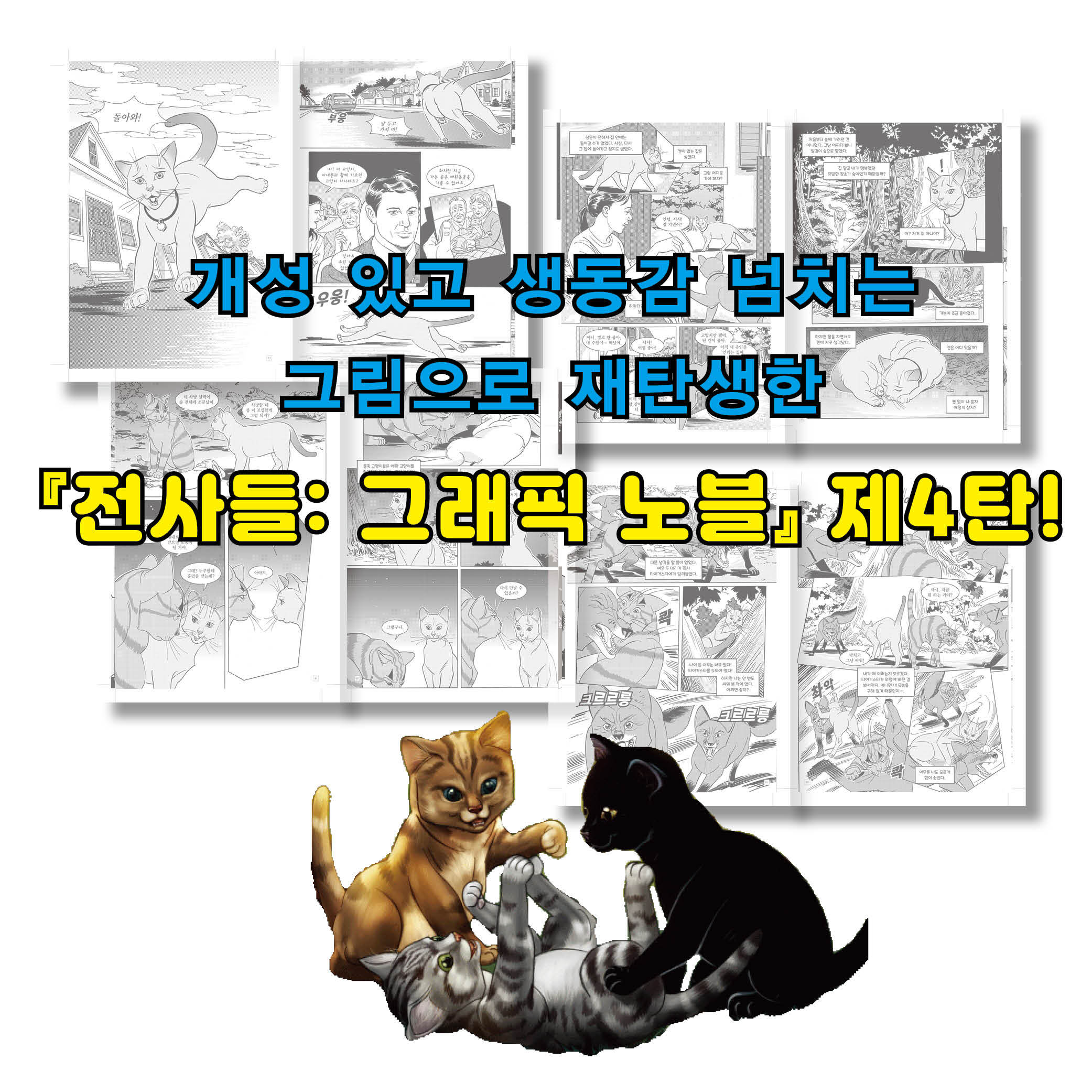 스타그래픽 이미지