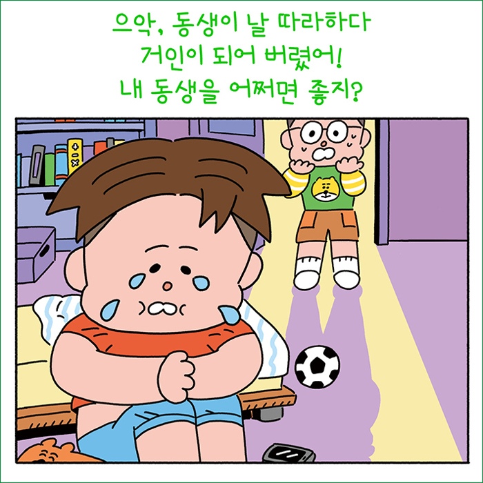 곰체육관 이미지
