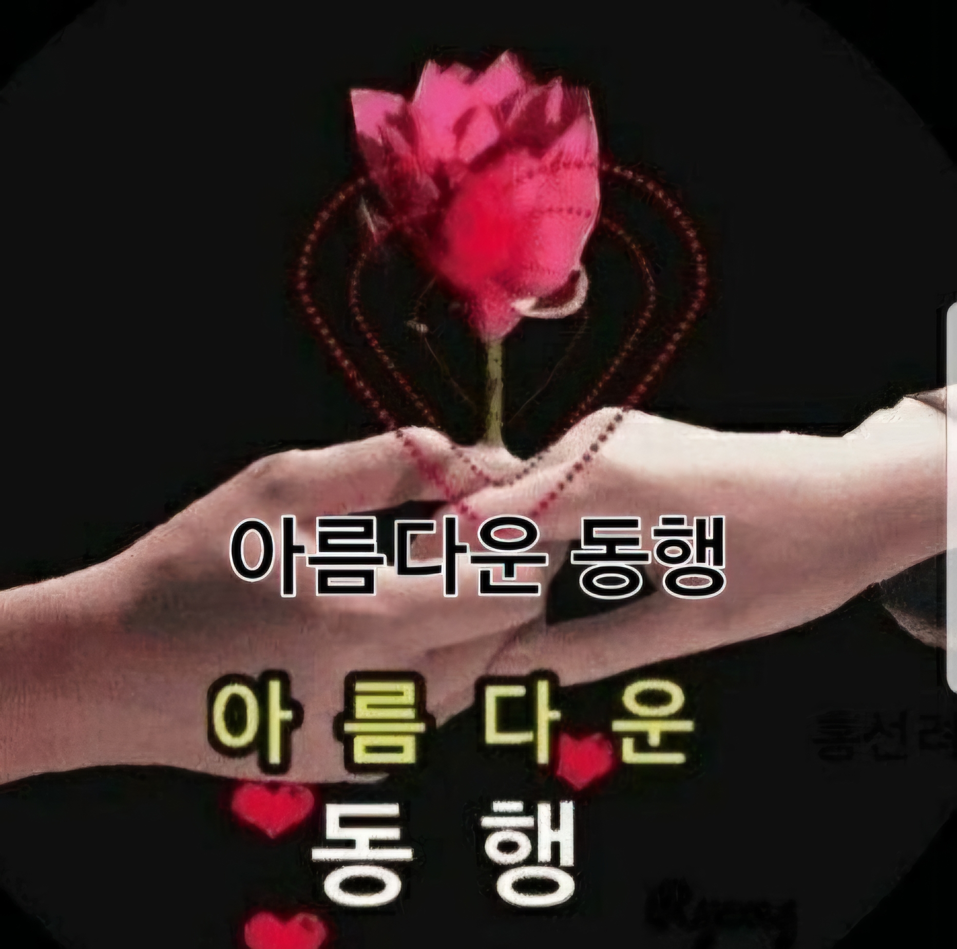 매향 이미지