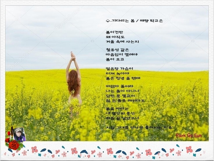 매향 이미지