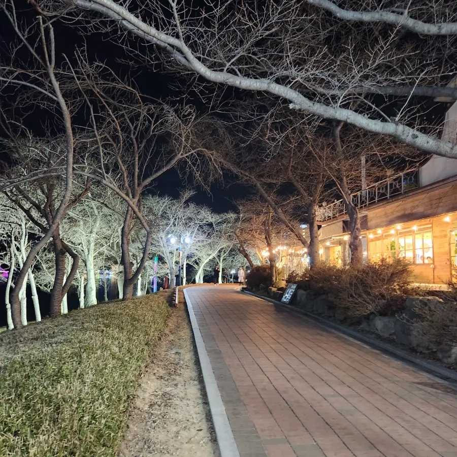 마티나타 이미지
