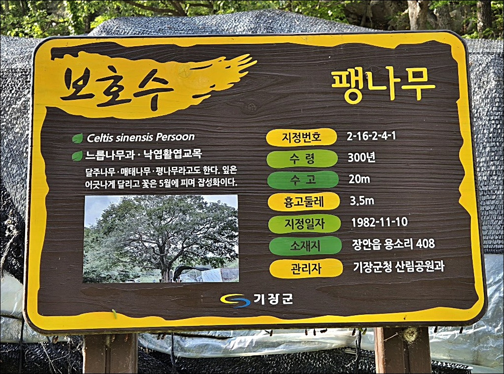 전망바위 이미지