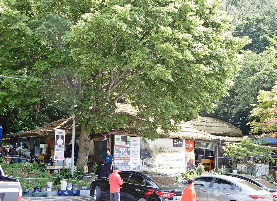 삼형제봉 정상 이미지