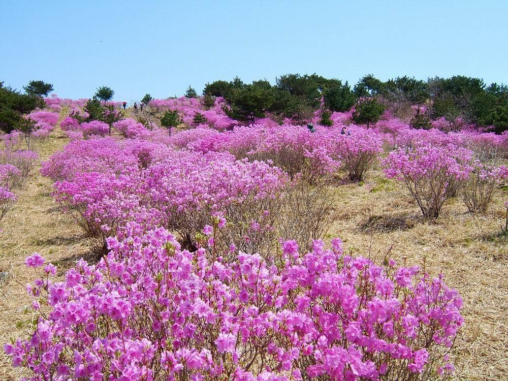 무학산 이미지