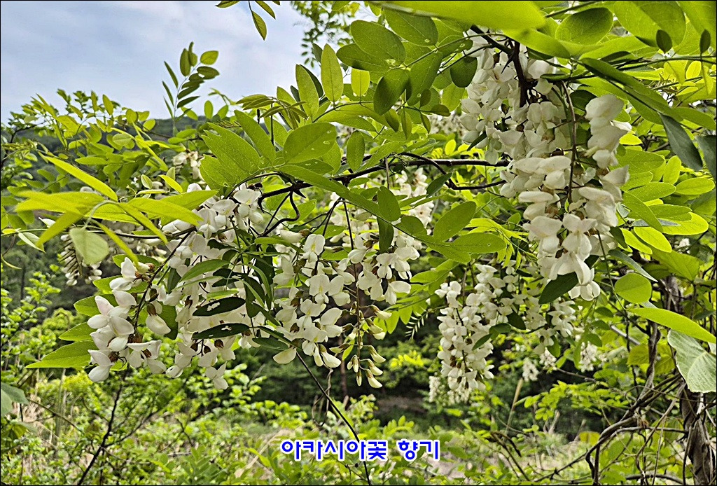 전망바위 이미지