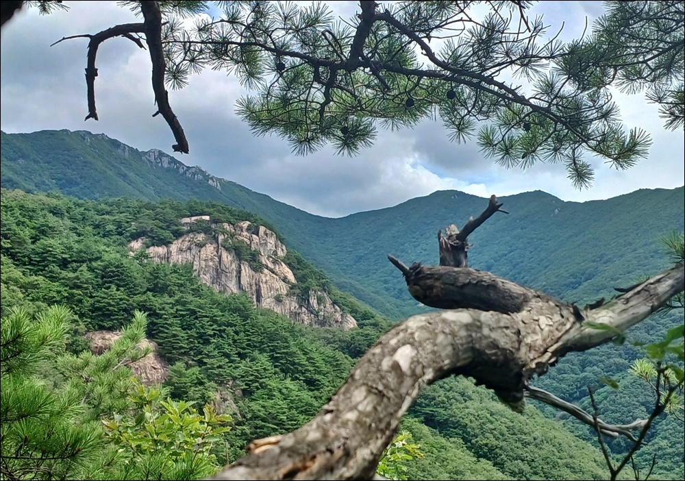 용수골전망대 이미지