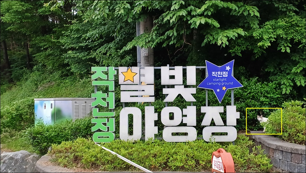 별빛야영장 이미지