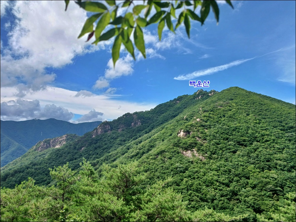 용수골전망대 이미지
