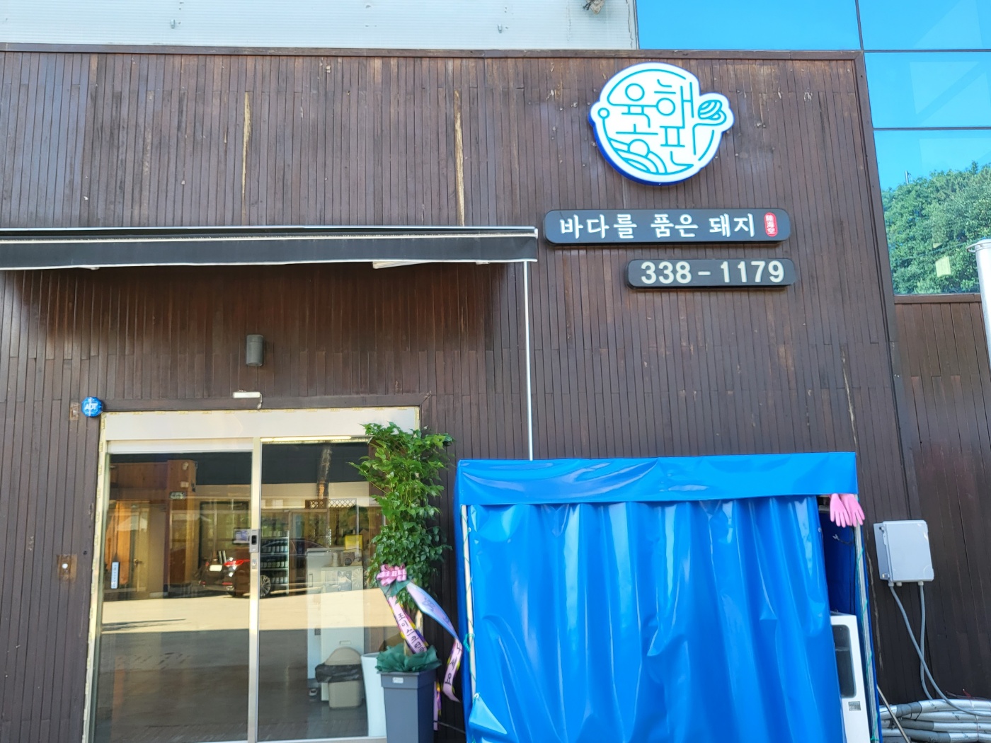 바다를품은돼지 이미지