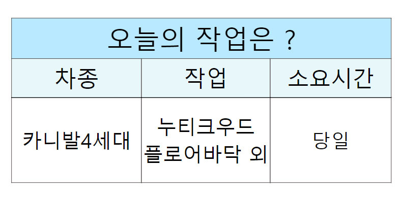 우드플로어 이미지