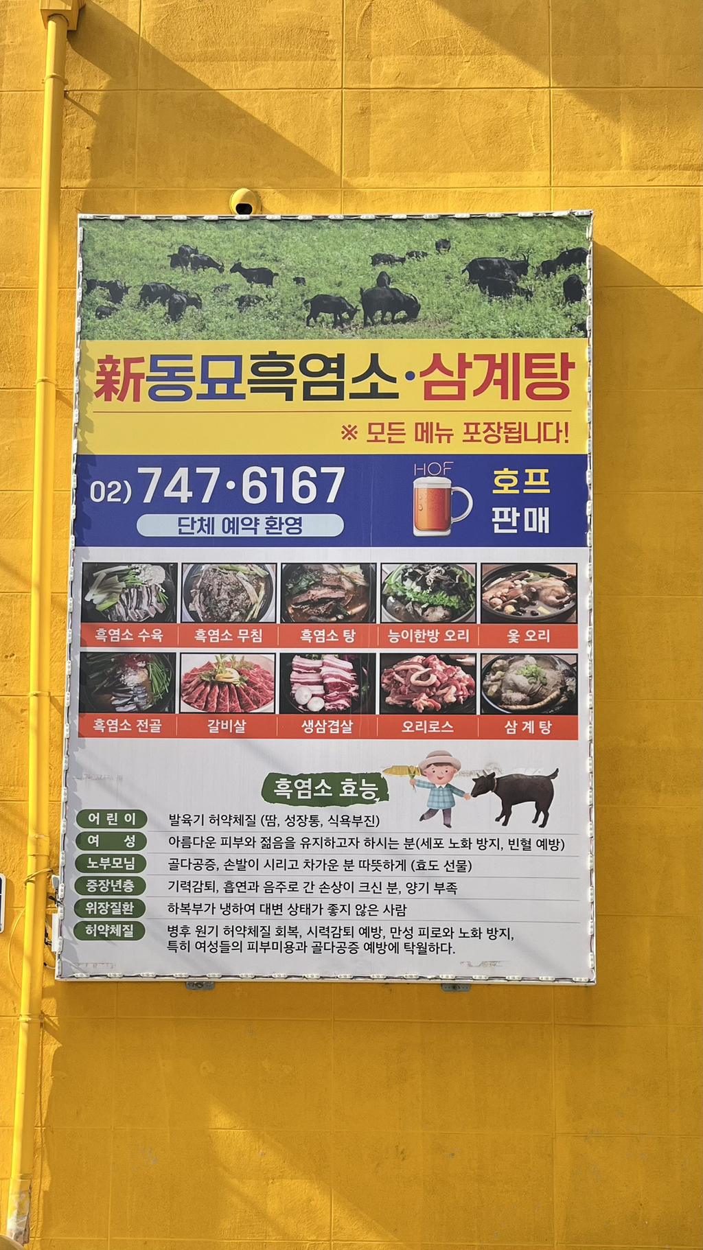 동묘흑염소삼계탕 이미지