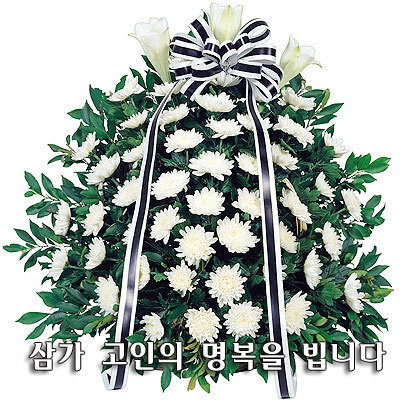 손*룡 이미지