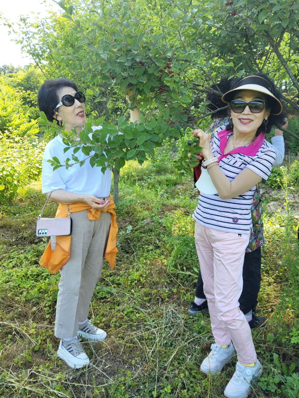 길 이미지
