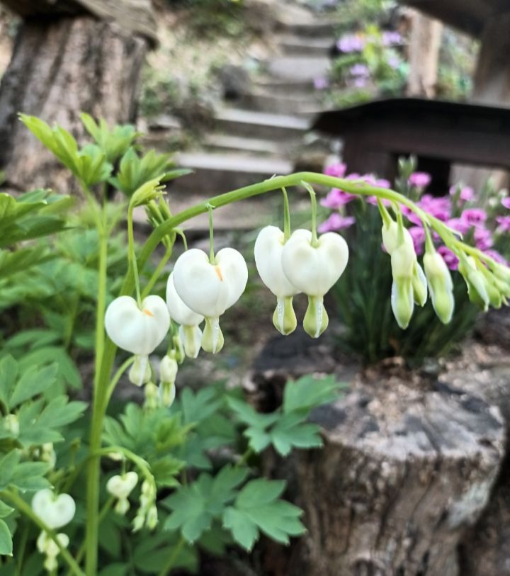 (주)누림 이미지