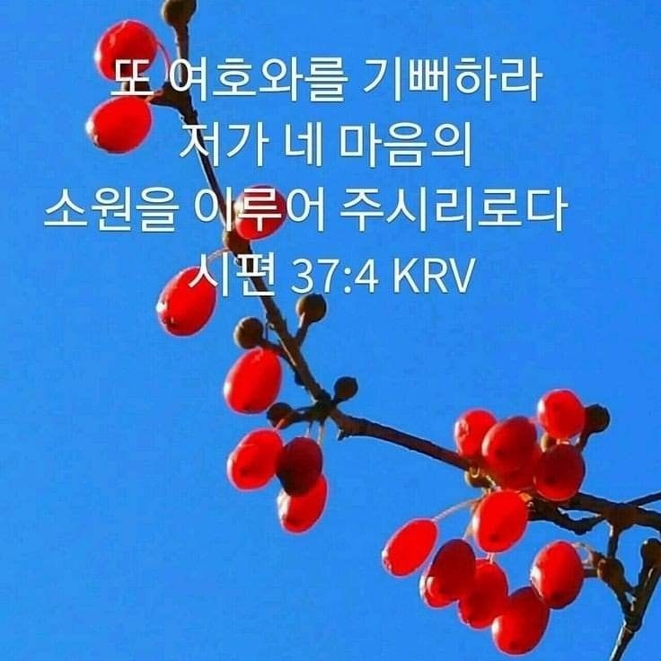 부흥사 이미지