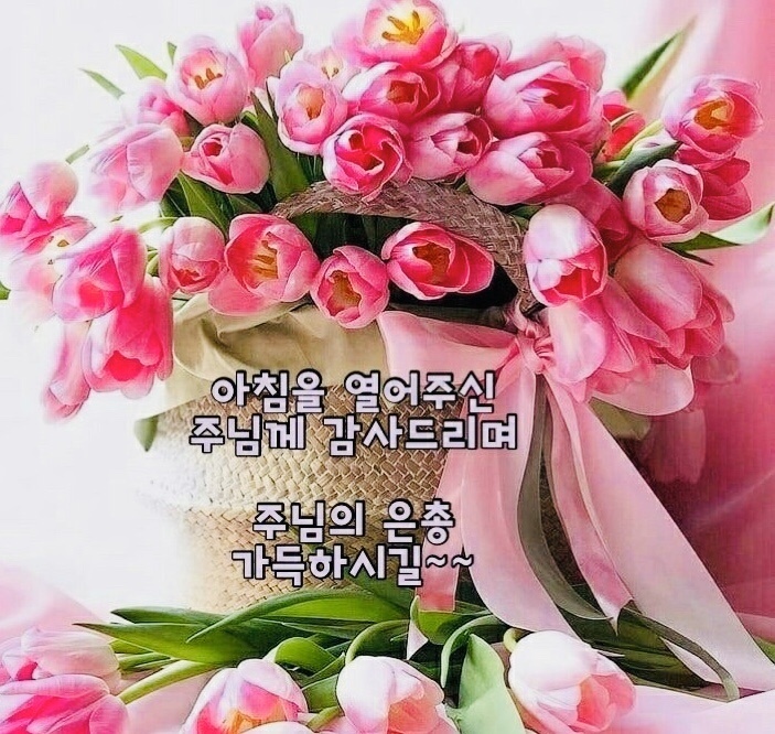 예승 이미지