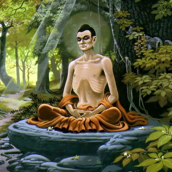 사람의 향기-222 - 향기 세상 - 정토마을 사람의 향기-222