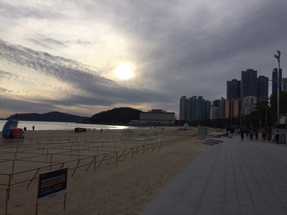 바다누리 이미지